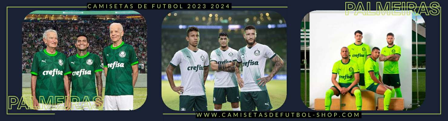 Camiseta Palmeiras 2023-2024